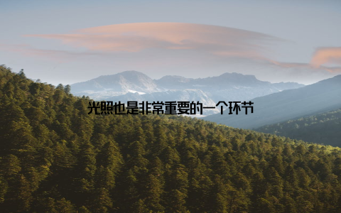 光照也是非常重要的一个环节