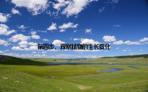 第四步, 观察植物的生长变化