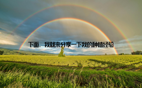 下面, 我就来分享一下我的种植经验