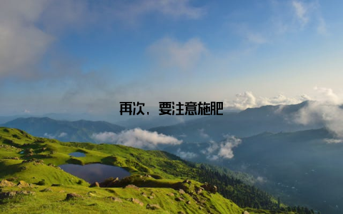 再次, 要注意施肥