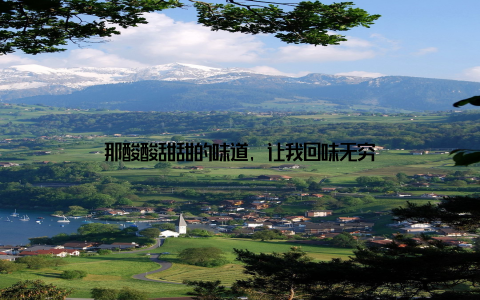 那酸酸甜甜的味道, 让我回味无穷