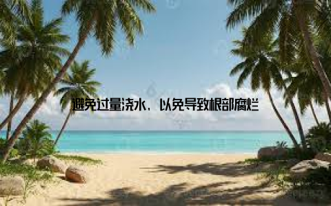 避免过量浇水, 以免导致根部腐烂