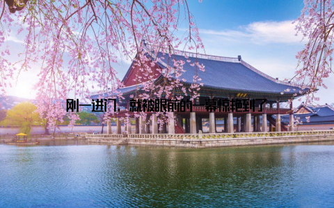 刚一进门, 就被眼前的一幕惊艳到了