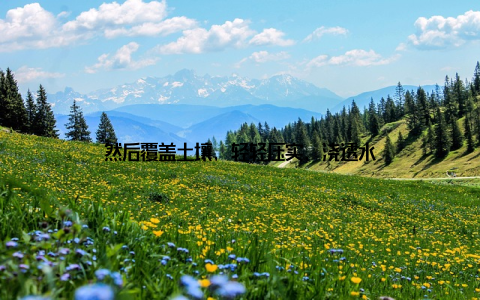 然后覆盖土壤, 轻轻压实, 浇透水