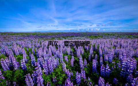 再次, 要定期施肥