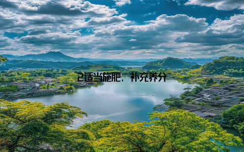 2适当施肥, 补充养分